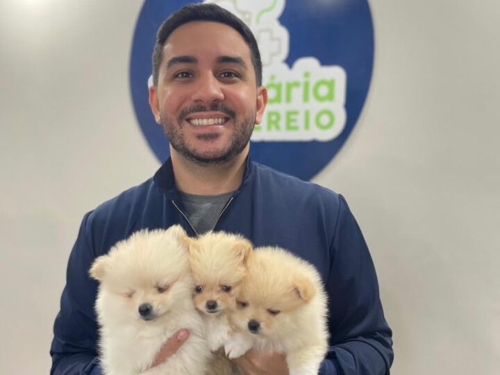 Especialista no atendimento de filhotes, Dr. Lucas Roberto une experiência e dedicação à medicina veterinária