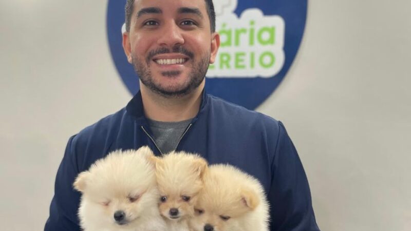Especialista no atendimento de filhotes, Dr. Lucas Roberto une experiência e dedicação à medicina veterinária